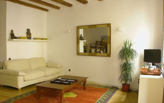 FLAT IN POBLENOU